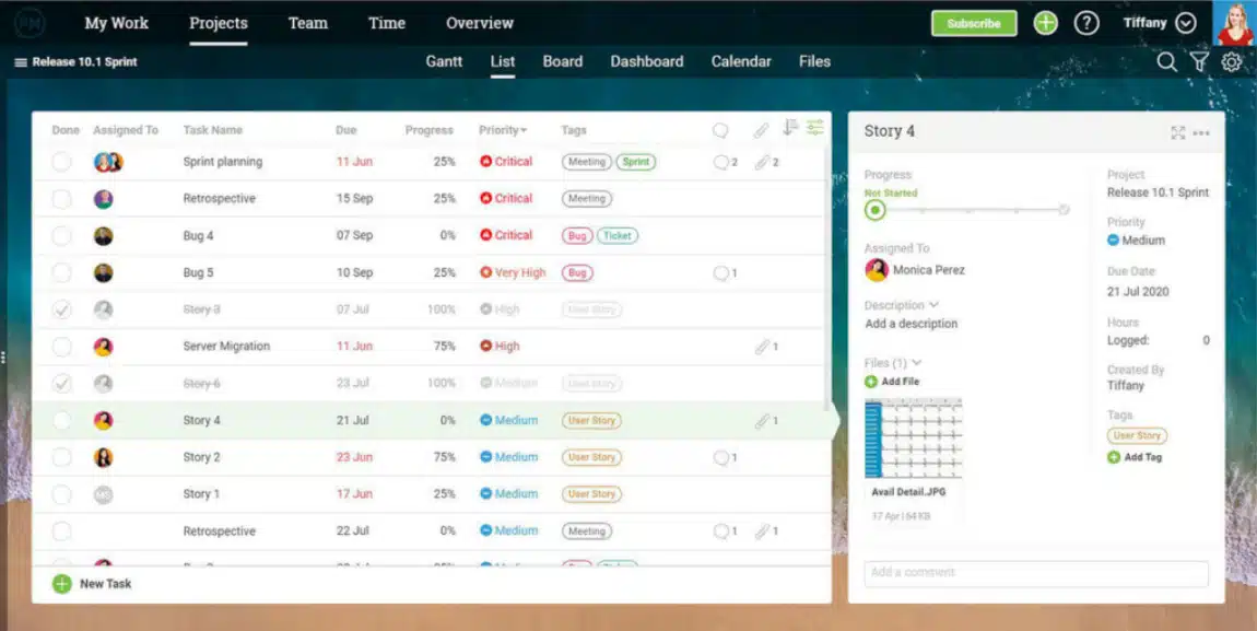 ProjectManager Engineering Project Management Software
