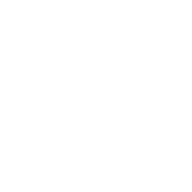 Decorative visual