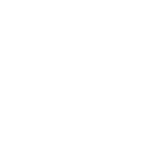 Leadership report icon