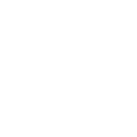 Customer Experience icon