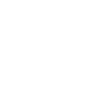 Ace Hardware