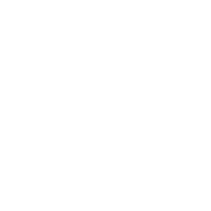 Econique