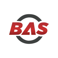 Bina's Auto Supply
