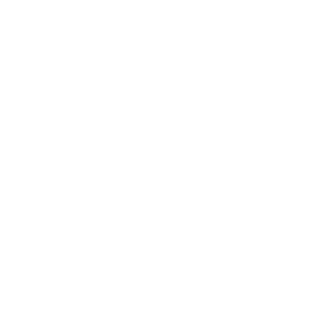 Bina's Auto Supply