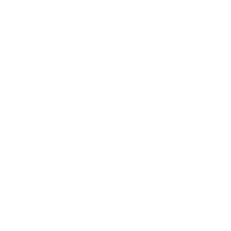 Bee Choo Origin