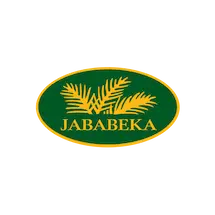 HashMicro's client - Jababeka