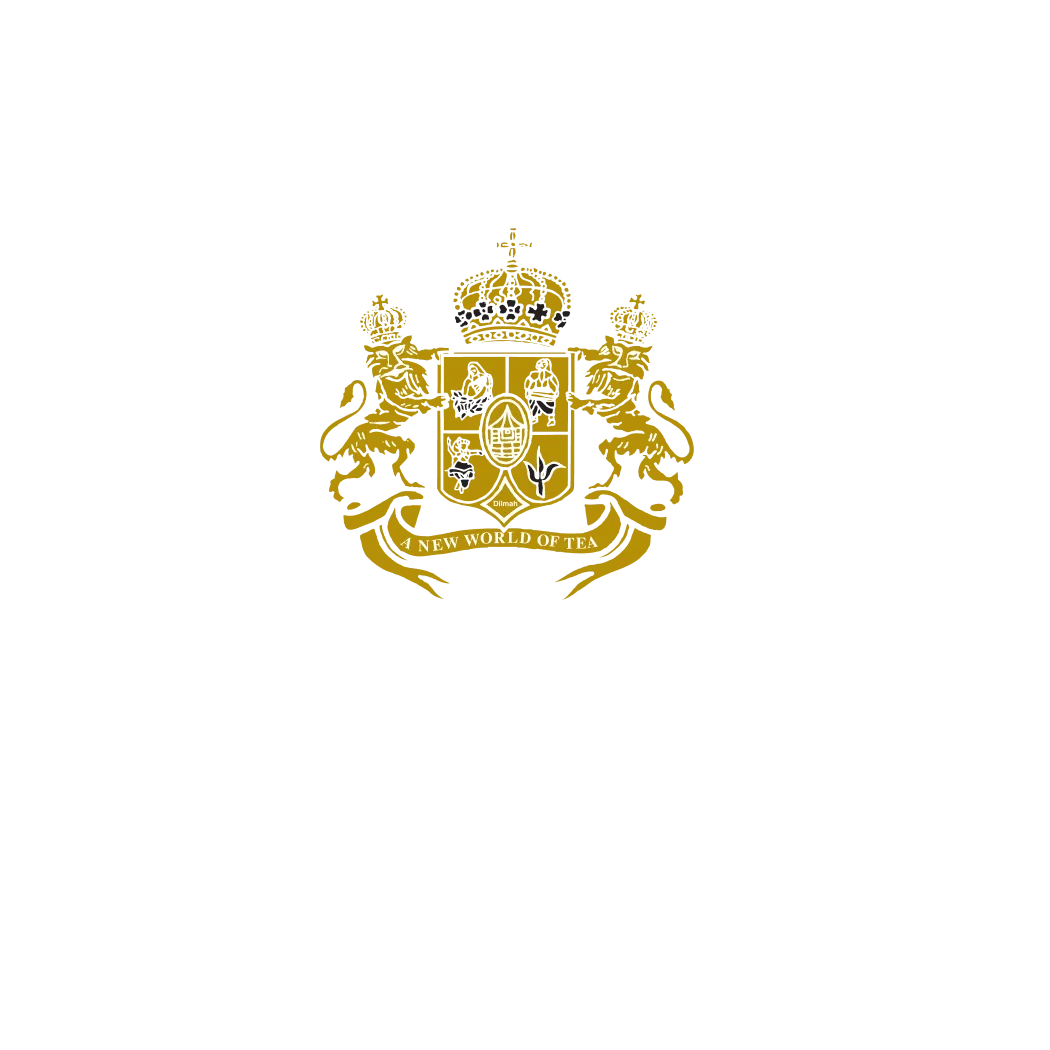 HashMicro's client - Dilmah