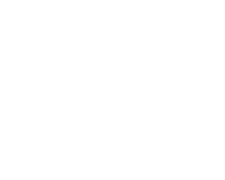Asset