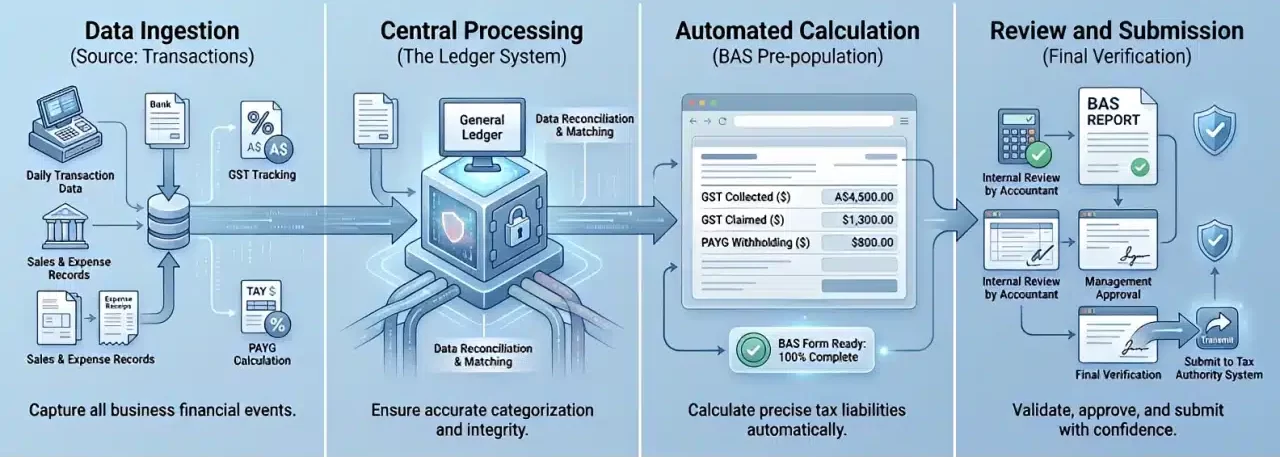 How BAS Reporting Actually Works