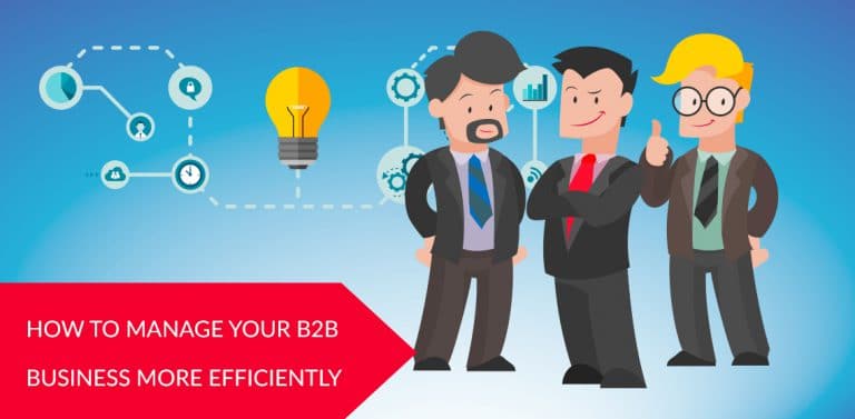 How to manage your B2B business more efficiently?