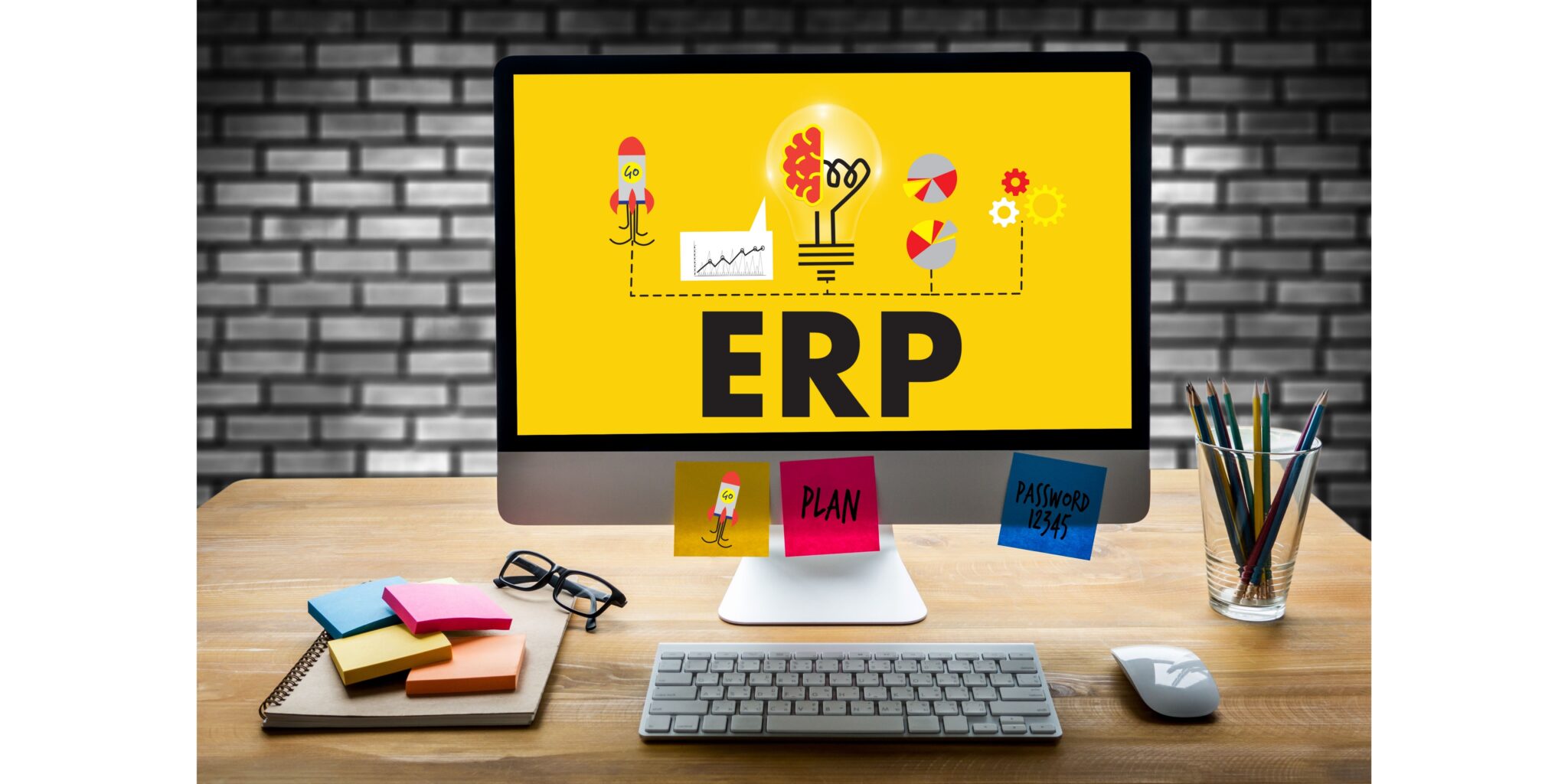ERP software system decision-making
