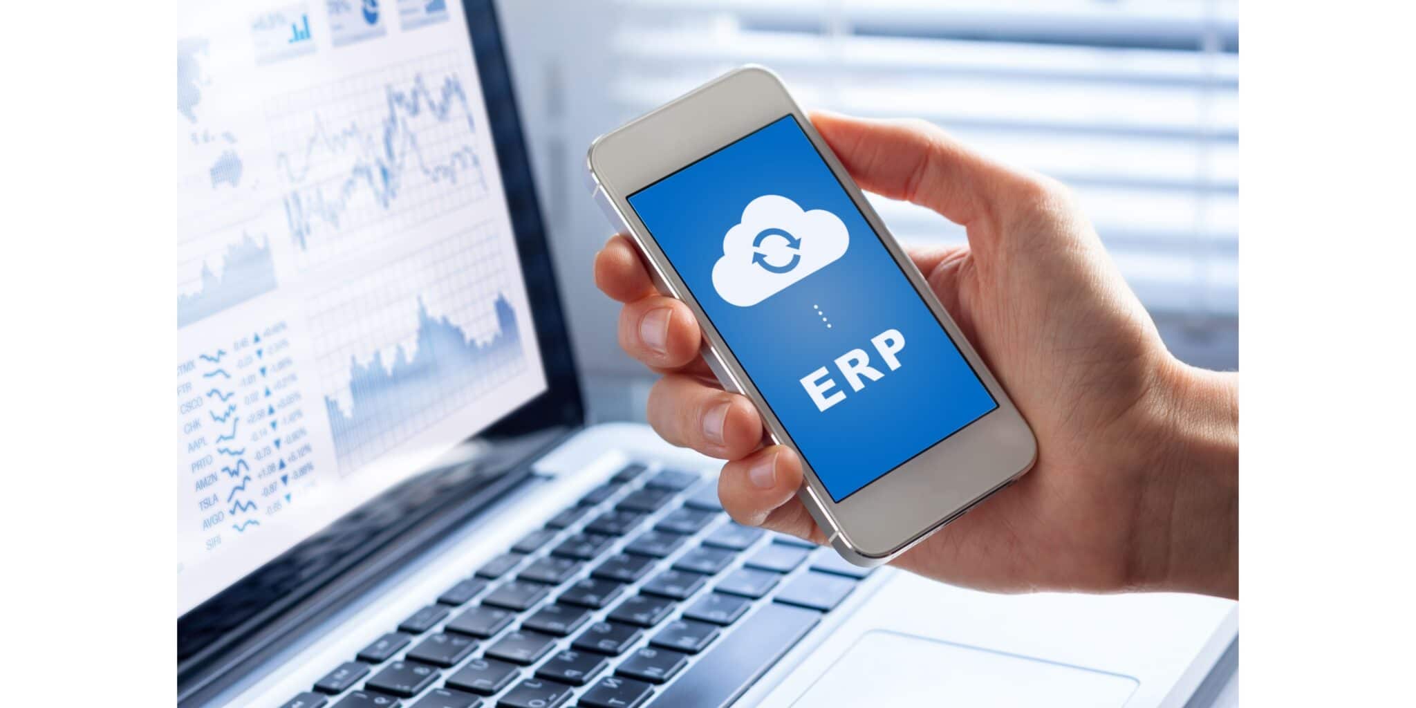 types of cloud-based erp