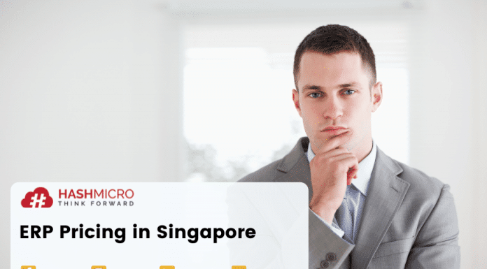 erp software singapore