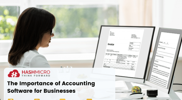 The Importance of Accounting Software for Businesses