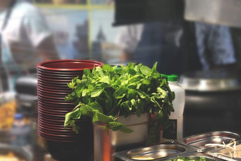 How To Start an Eco-Friendly Restaurant Business