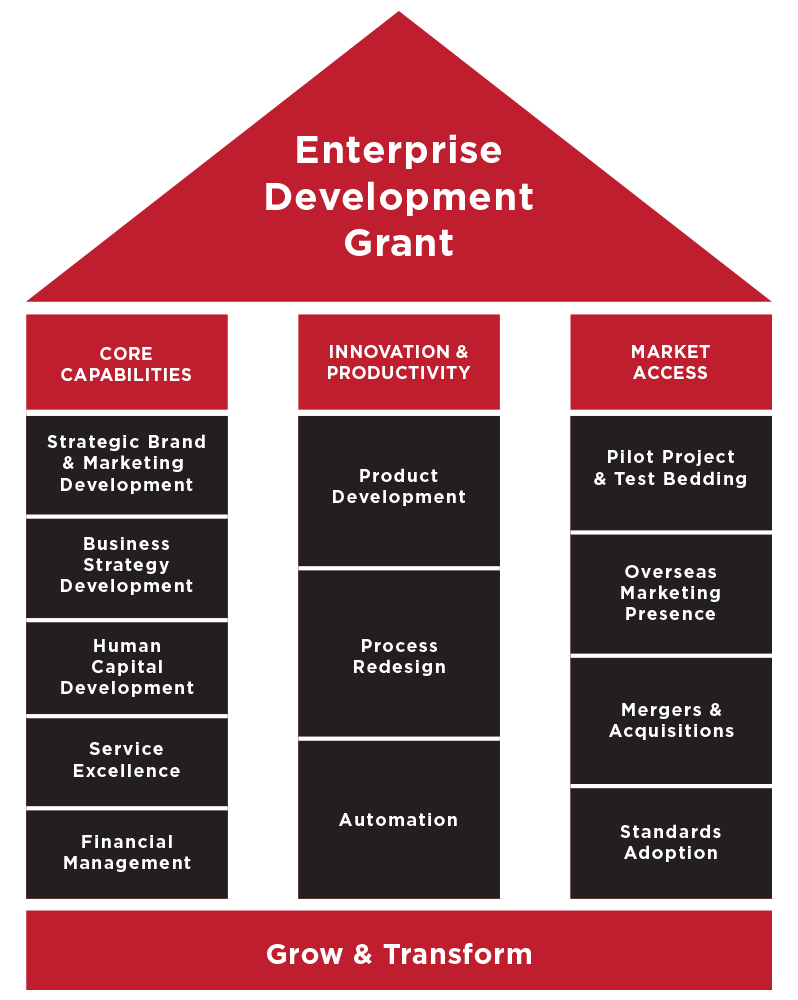 All You Need to Know About the Enterprise Development Grant