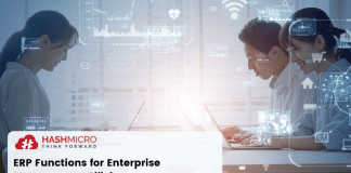 ERP Functions for Enterprise Management Efficiency