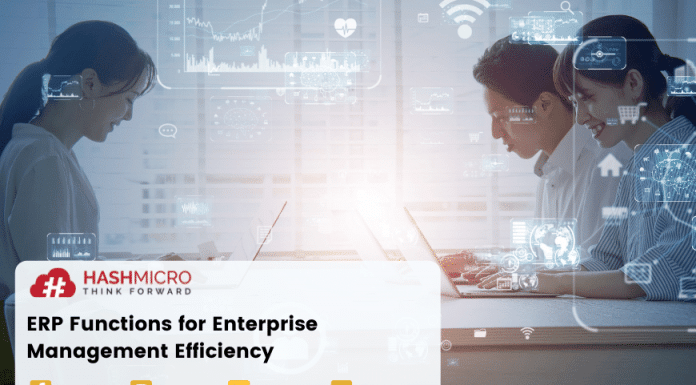 ERP Functions for Enterprise Management Efficiency