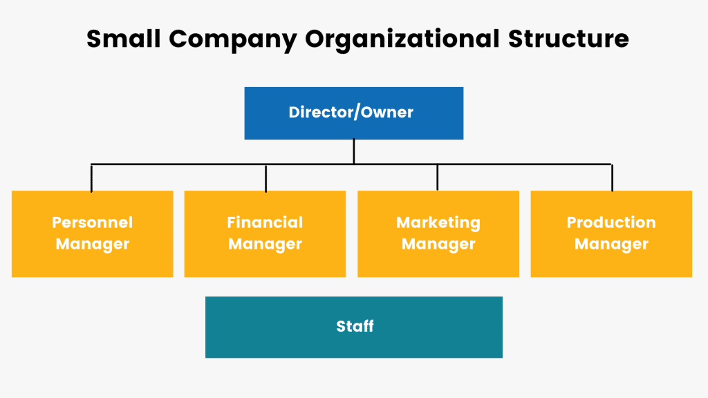 company organizational structure