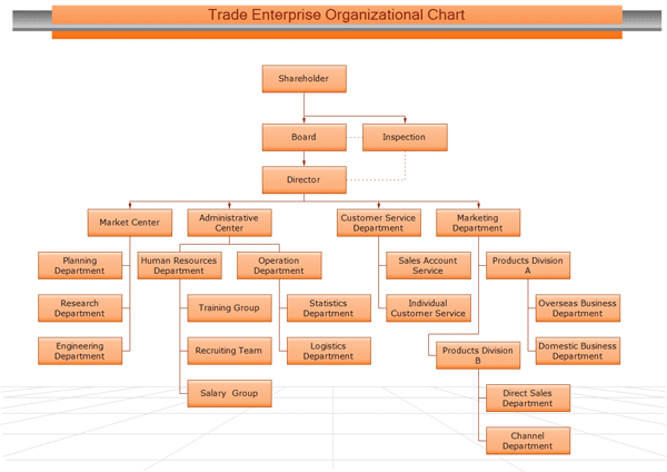 company organizational structure