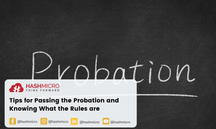 Tips for Passing the Probation and Knowing What the Rules are