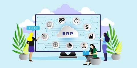 erp software system