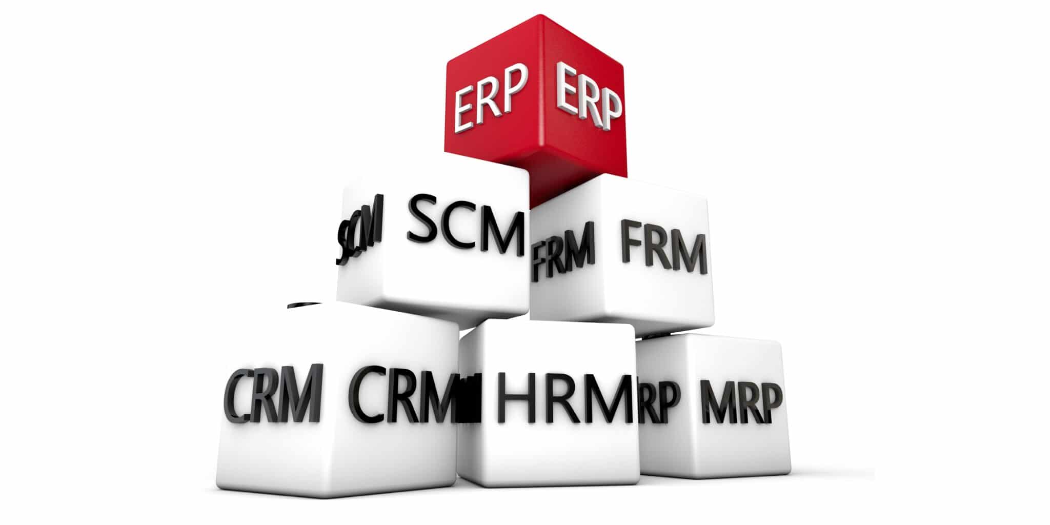 The features of ERP system procurement