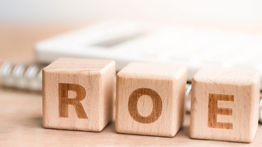 ROE (Return on Equity): Indicator to Measure Performance