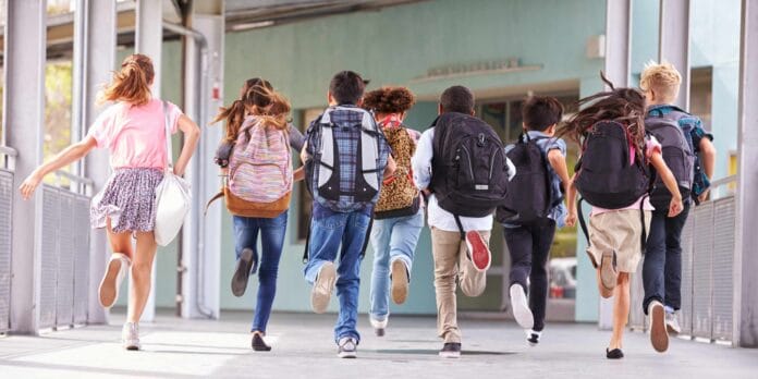 school enrollment management system