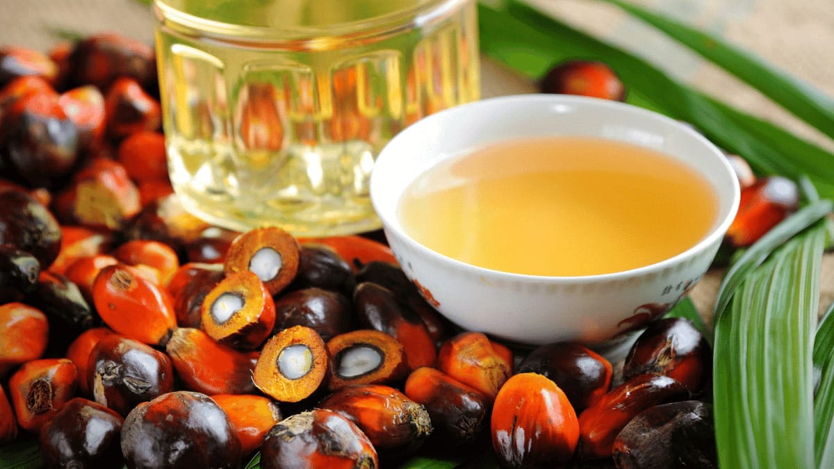 The use of palm oil