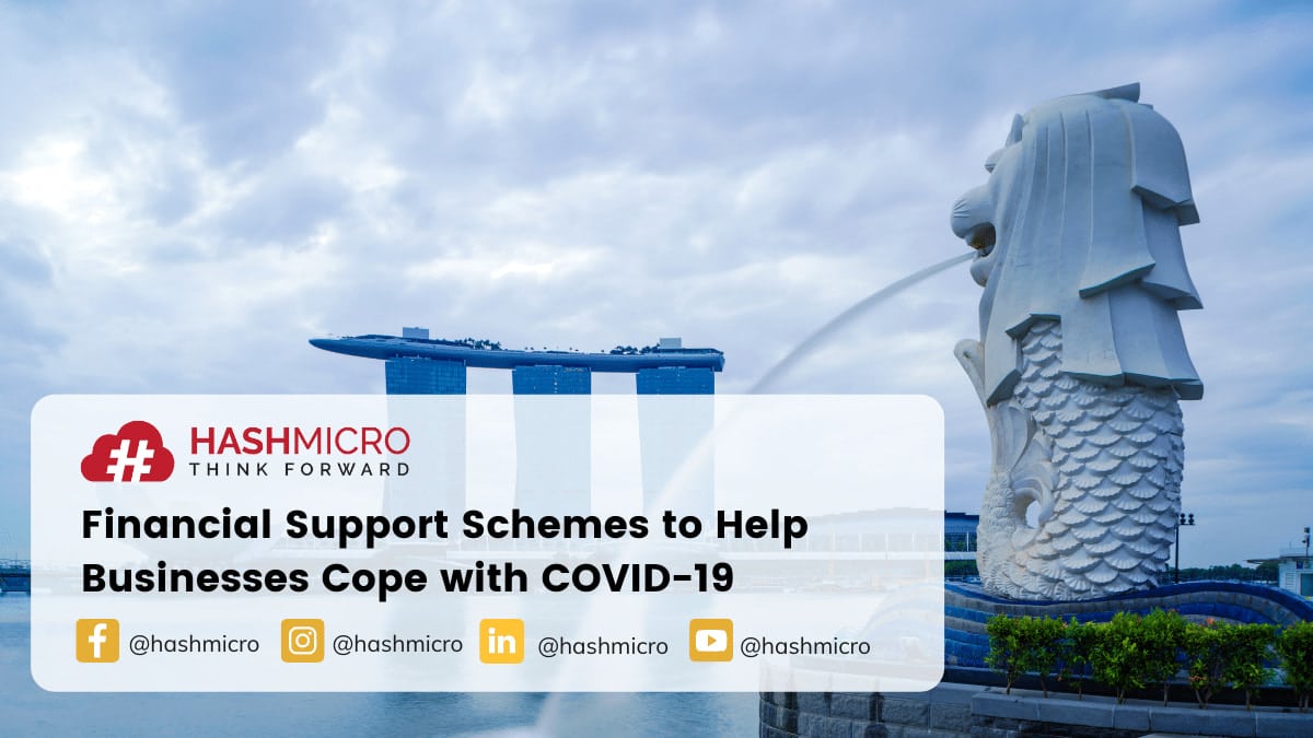 Financial Support Schemes to Help Businesses Cope with COVID-19