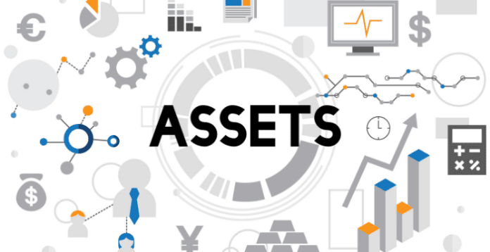 What are the types of assets you need to know?