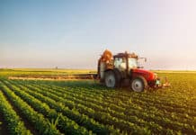 Agriculture is Increasingly Successful With the Existence of Modern Farming Systems