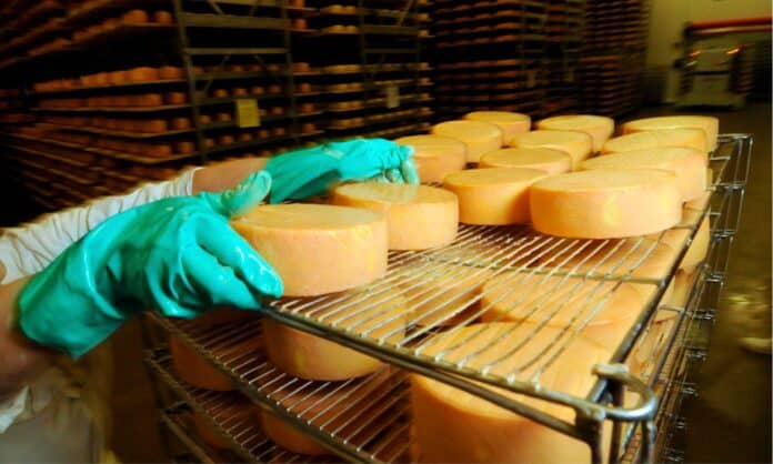 Improving your food production business with application