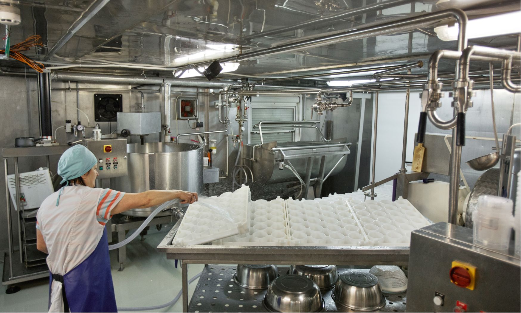 Application of the food industry