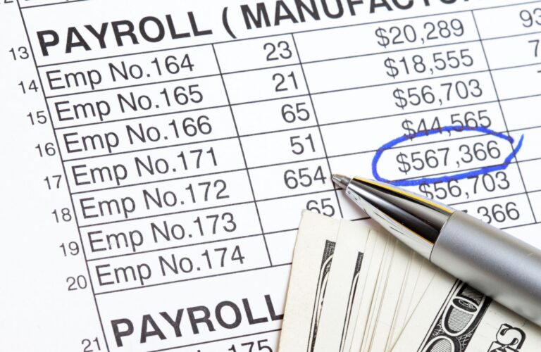Optimize Your Business With Payroll HRIS System