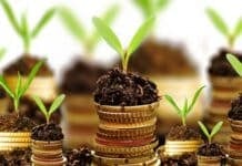 Indonesian Agriculture Business Concepts