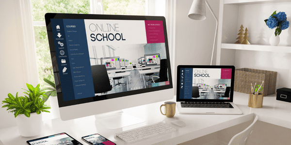 Why is The Student Portal important