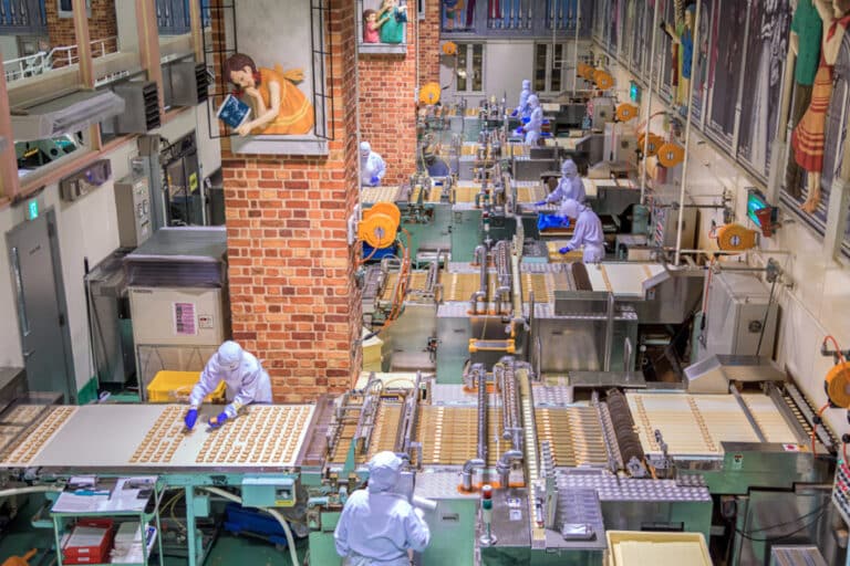 Streamline Food Factory Management with Software