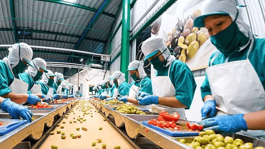 how-erp-supports-the-food-production-system-in-restaurant