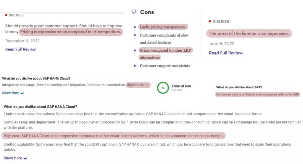Why SAP ERP Is More Expensive Than Other ERP Software?