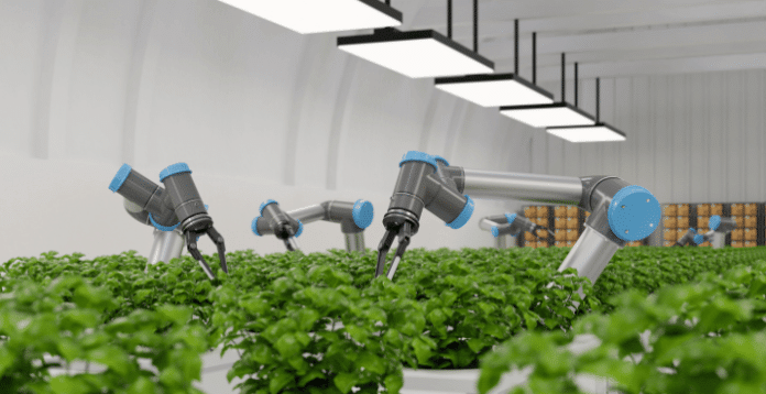 Vertical Farming