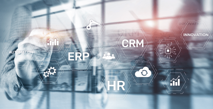 Custom ERP Software