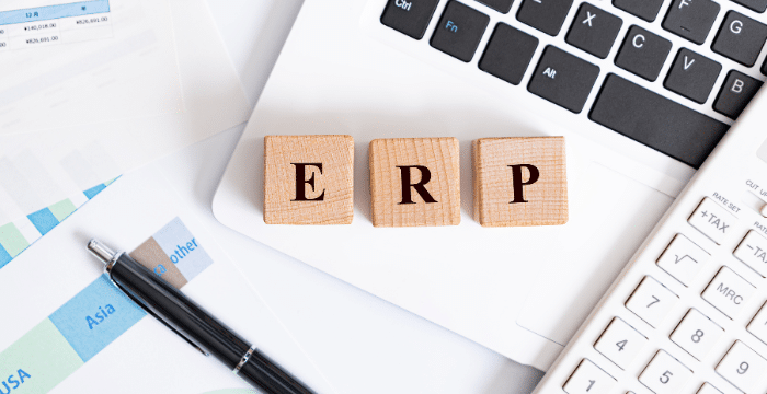 ERP for Software Development Company