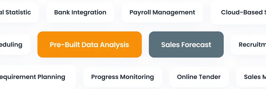 HashMicro for CEO