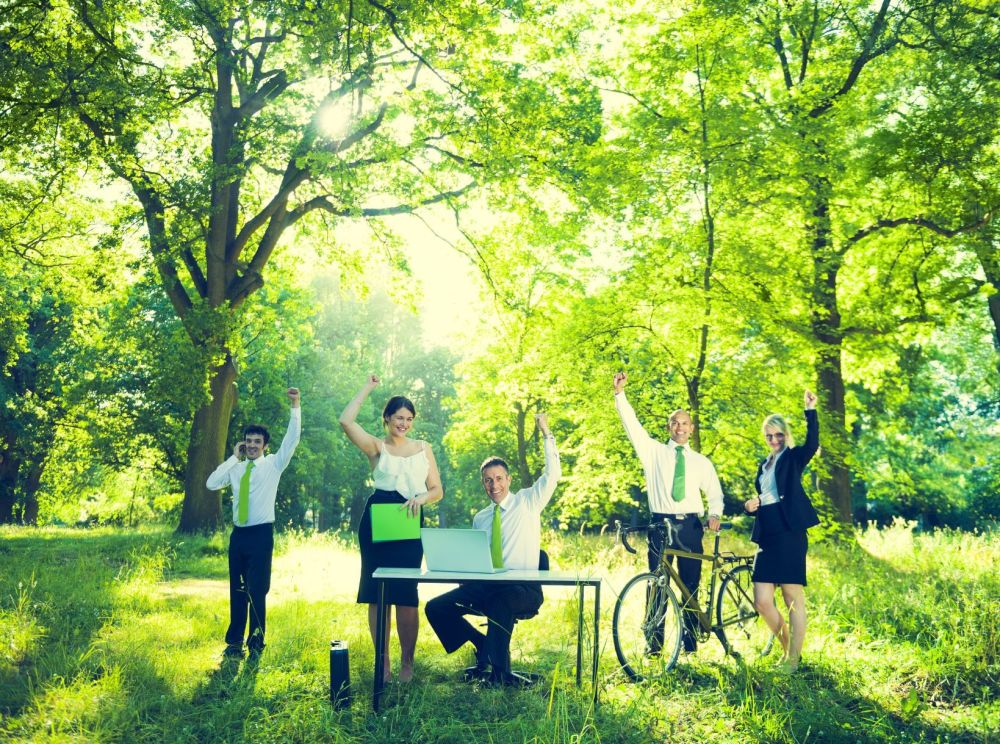 ecopreneur