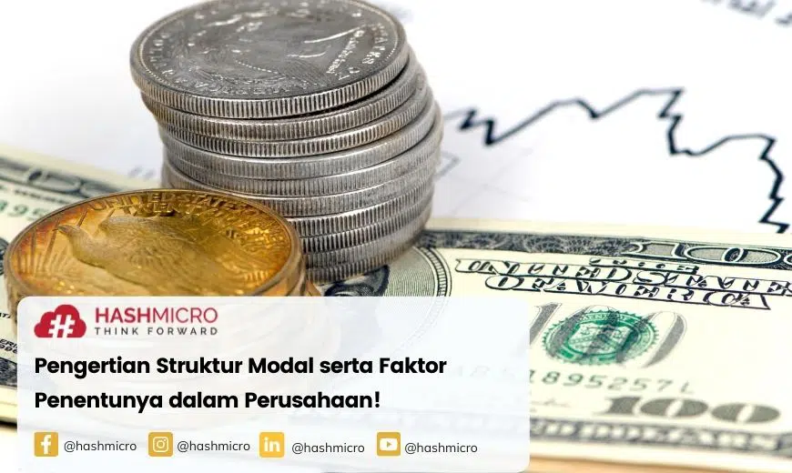 Pengertian Struktur Modal serta Faktor Penentunya dalam Perusahaan!