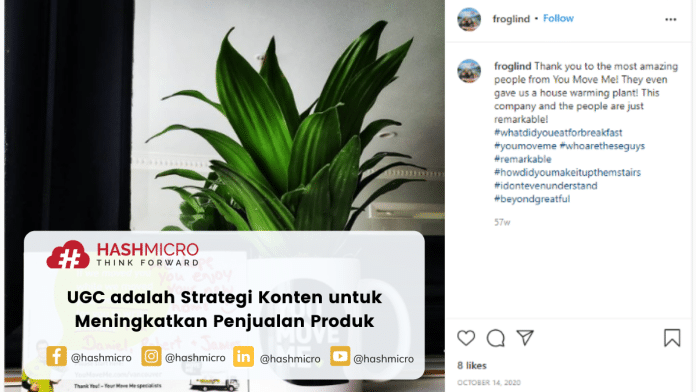 UGC adalah