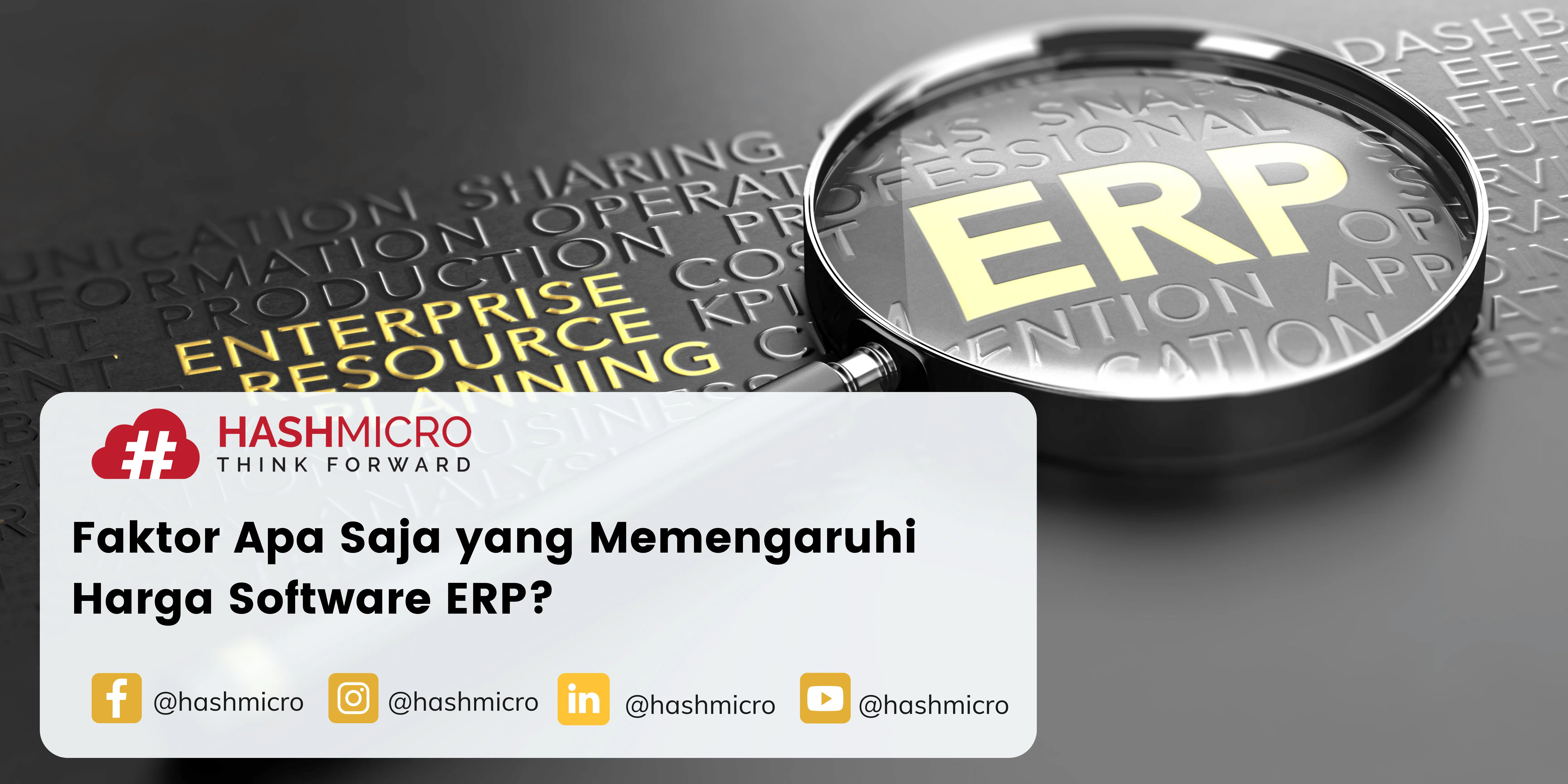 Faktor Apa Saja yang Memengaruhi Harga Software ERP?