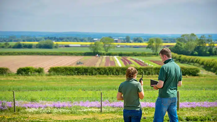 sektor agrikultur